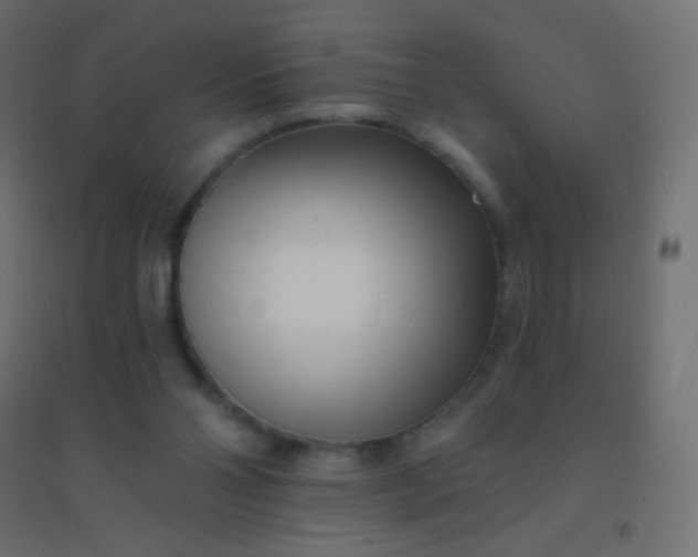 X0000094920110200712131523