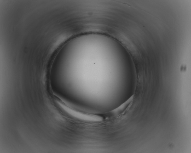 X0000094920112200712131523