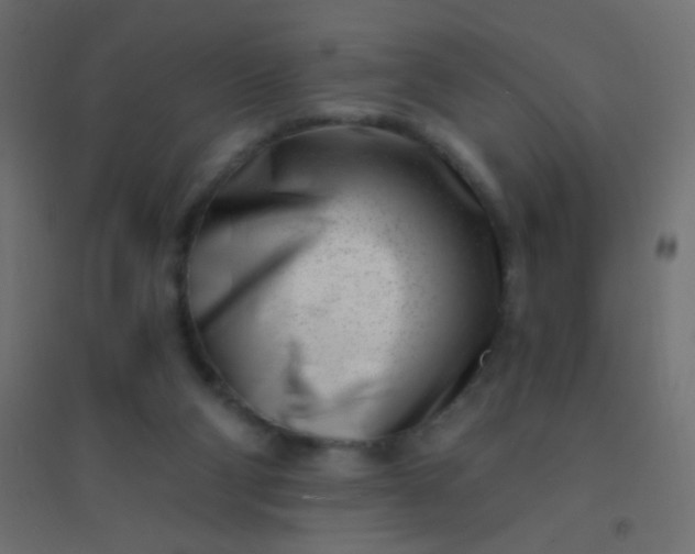 X0000094920114200712131523