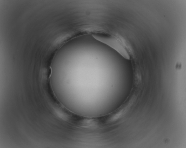 X0000094920117200712131523