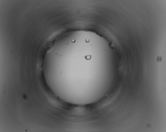 X0000094920119200712131523