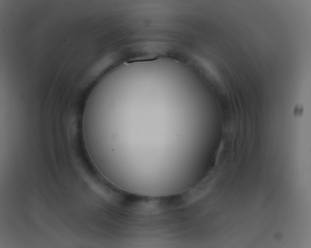 X0000094920120200712131523