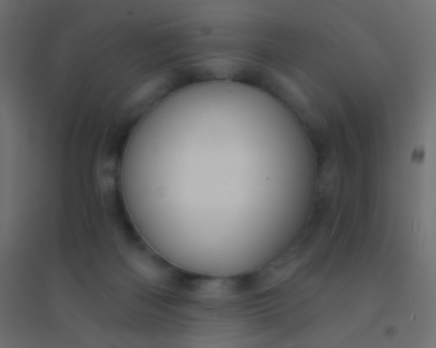 X0000094920122200712131523