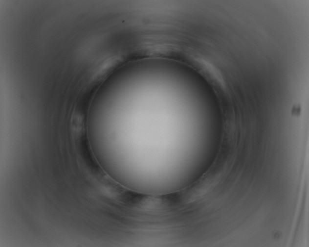 X0000094920123200712131523