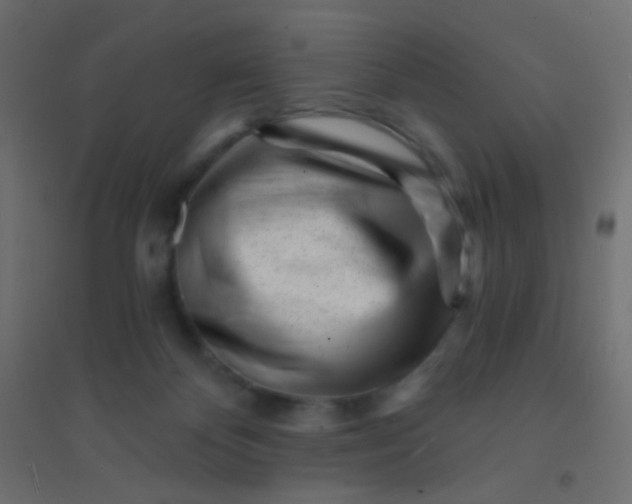 X0000094920124200712131523