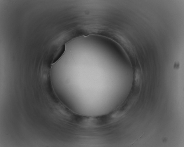 X0000094920125200712131523