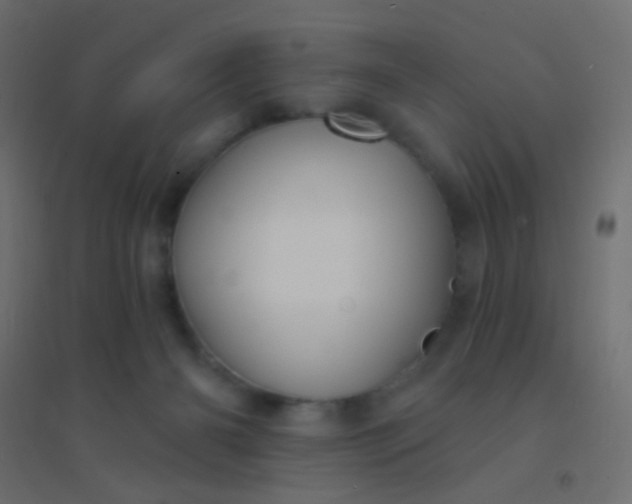 X0000094920126200712131523