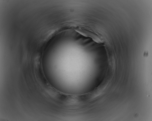 X0000094920127200712131523