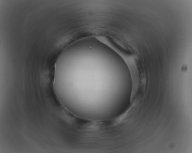 X0000094920128200712131523