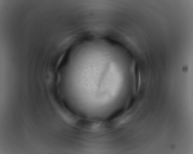 X0000094920130200712131523