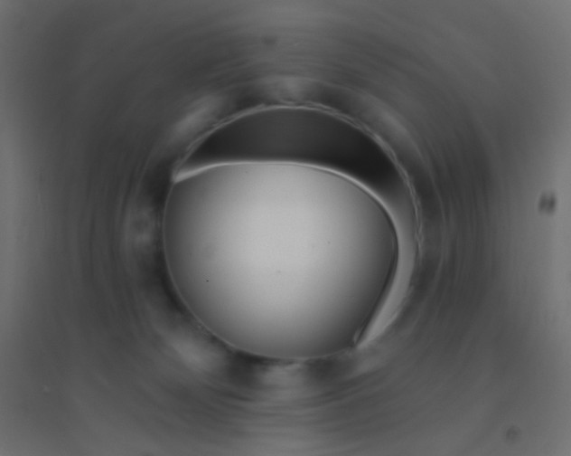 X0000094920132200712131523