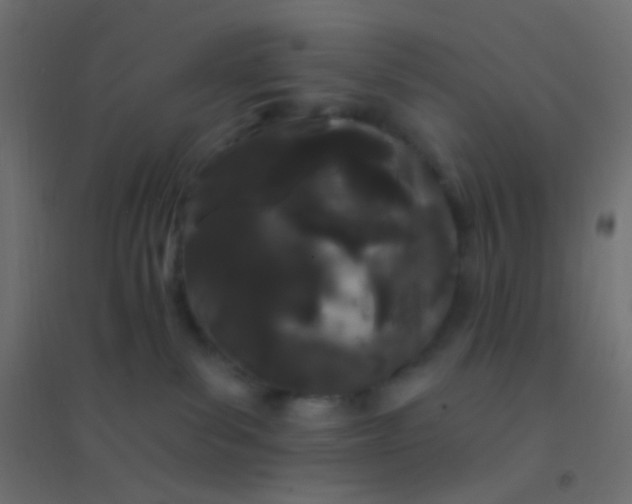 X0000094920139200712131523