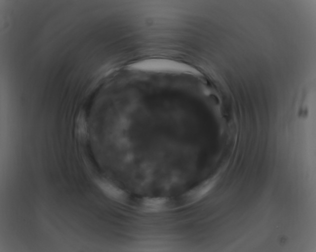 X0000094920143200712131523