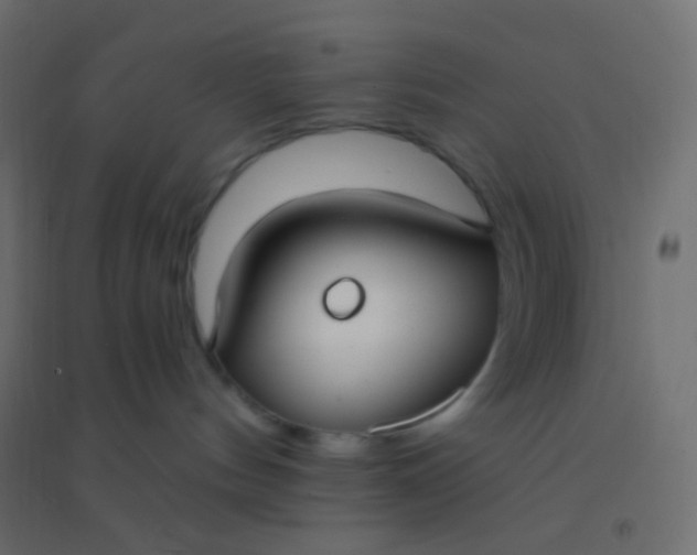 X0000094920144200712131523