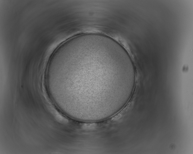 X0000094920145200712131522