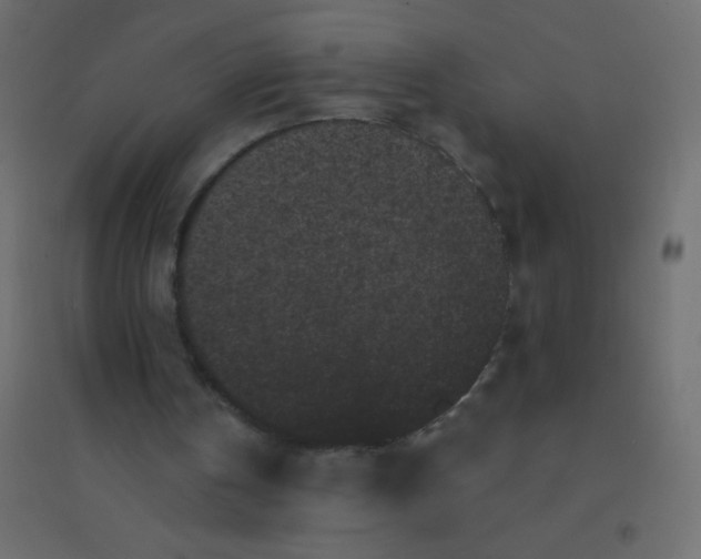 X0000094920146200712131522