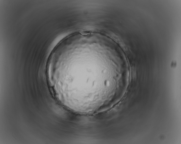 X0000094920147200712131522