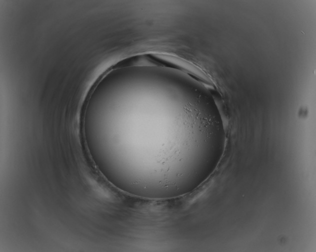 X0000094920148200712131522