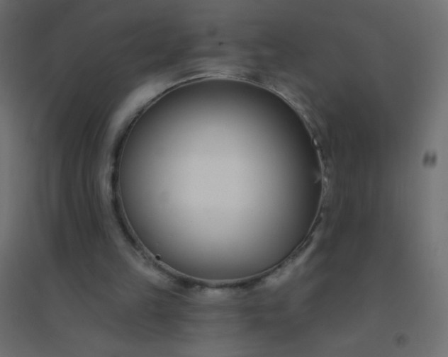 X0000094920149200712131522