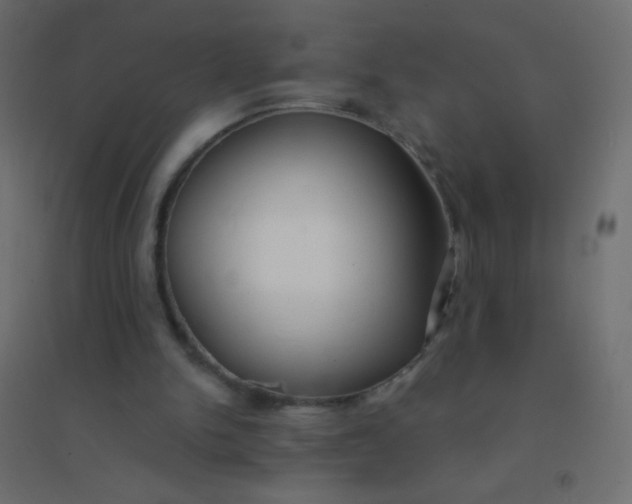 X0000094920150200712131522