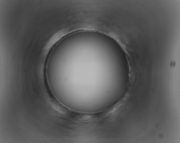 X0000094920151200712131522