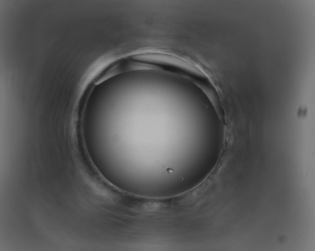 X0000094920152200712131522