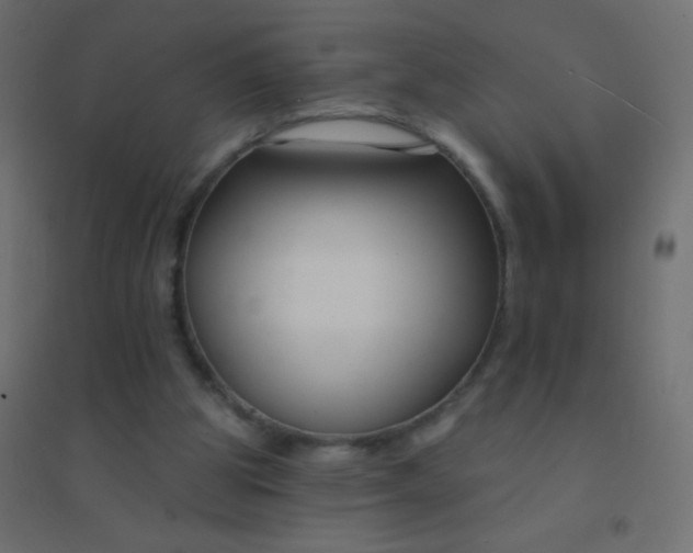 X0000094920153200712131522