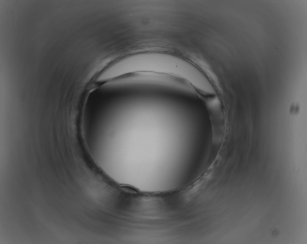 X0000094920154200712131522