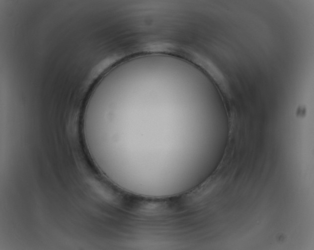 X0000094920155200712131522