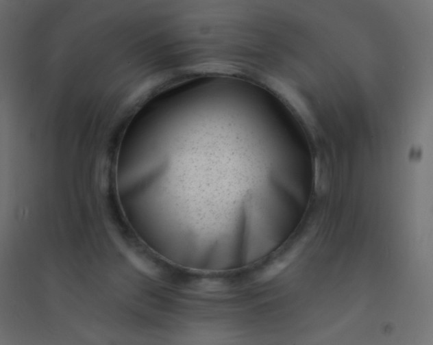 X0000094920157200712131522