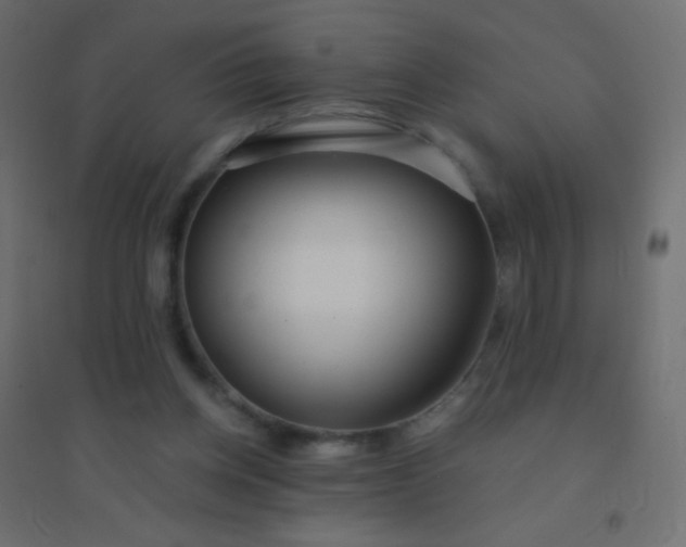 X0000094920158200712131522