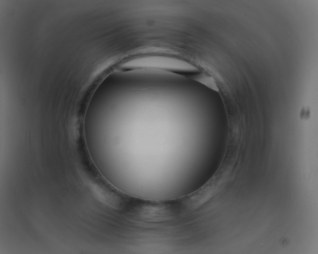 X0000094920160200712131522