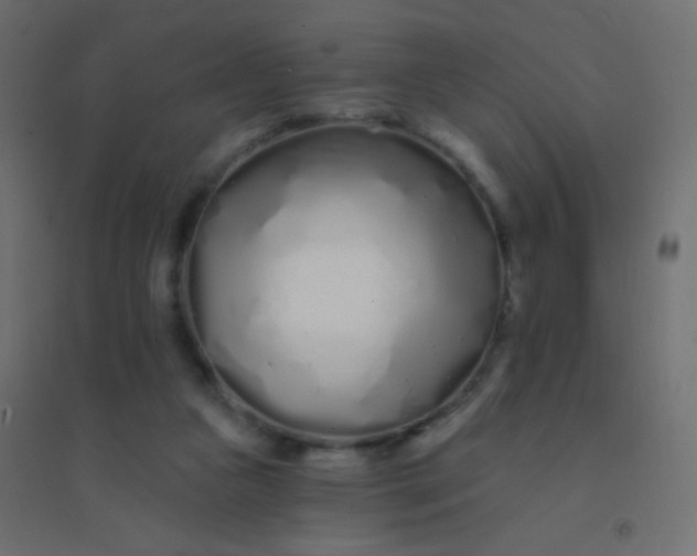 X0000094920161200712131522