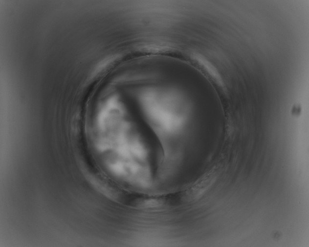 X0000094920163200712131522