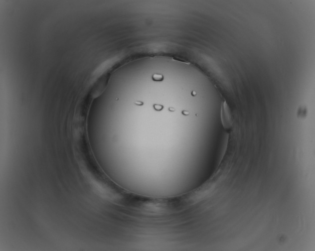 X0000094920164200712131522