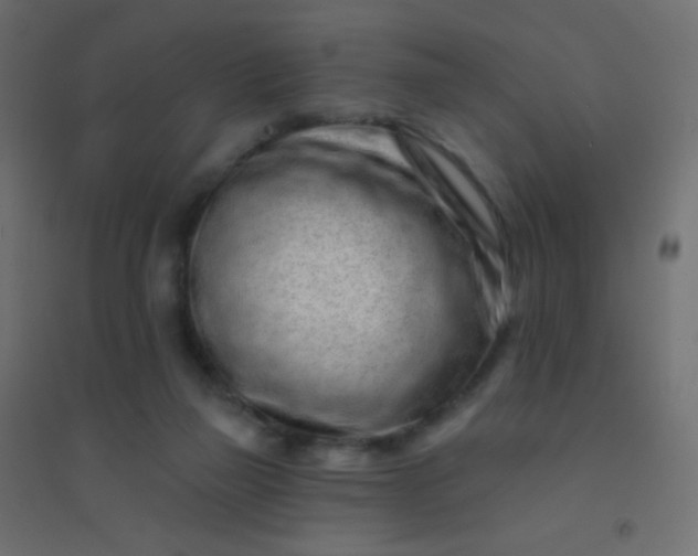 X0000094920165200712131522