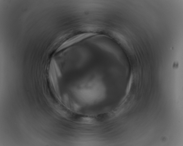 X0000094920167200712131522