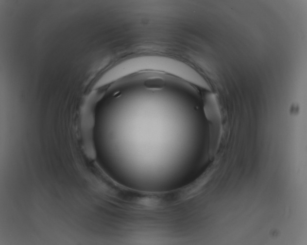 X0000094920168200712131522