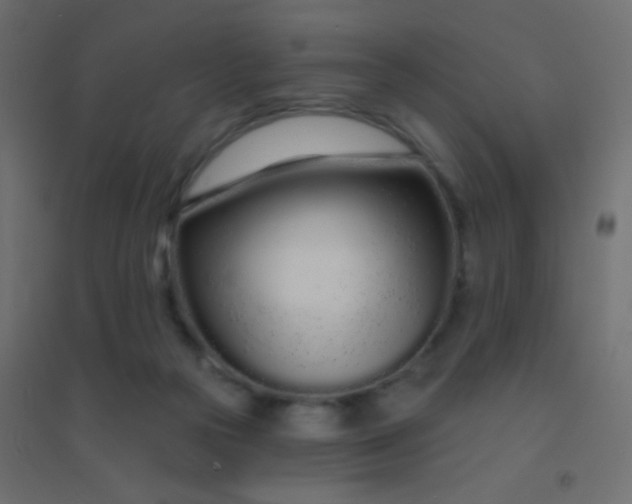 X0000094920169200712131522