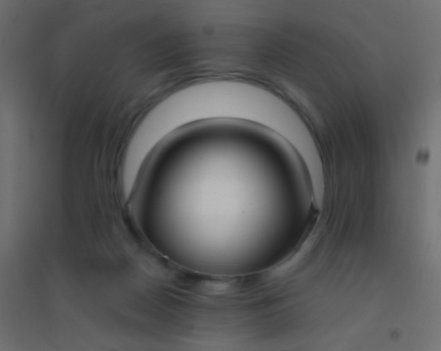 X0000094920170200712131523