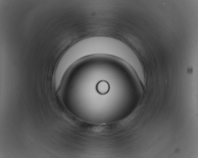 X0000094920172200712131523