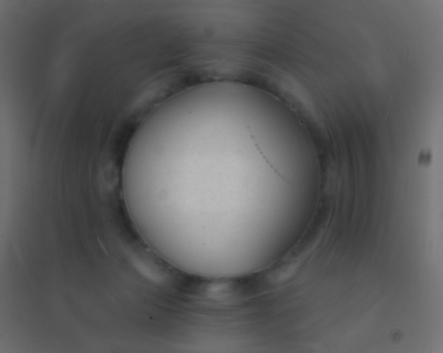 X0000094920173200712131523