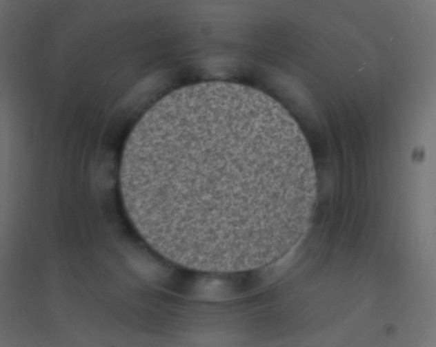 X0000094920174200712131523