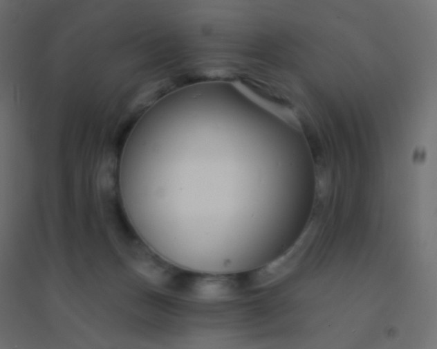 X0000094920175200712131523