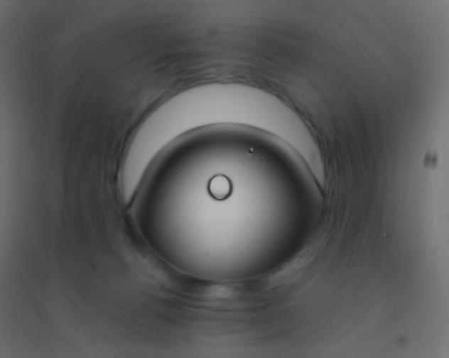 X0000094920176200712131523