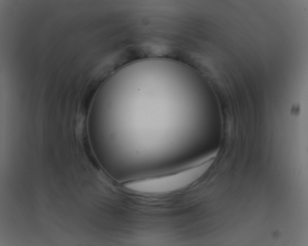 X0000094920177200712131523