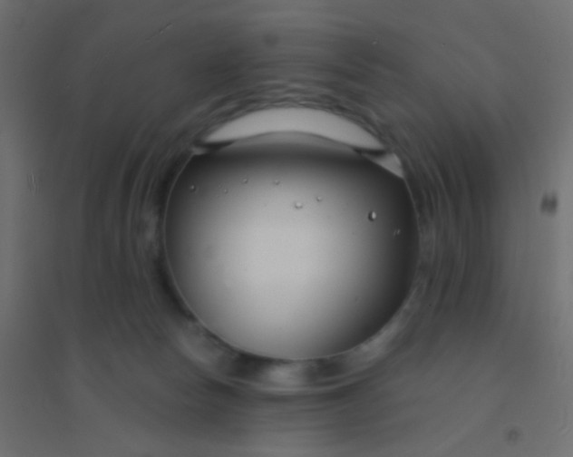 X0000094920178200712131523