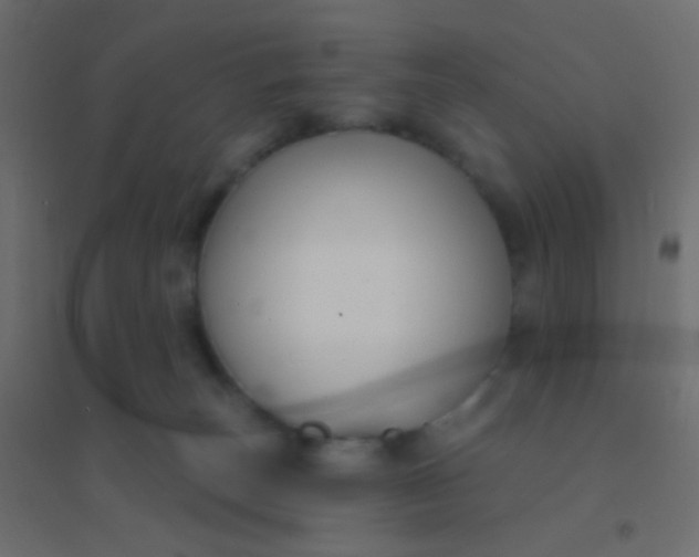 X0000094920179200712131523