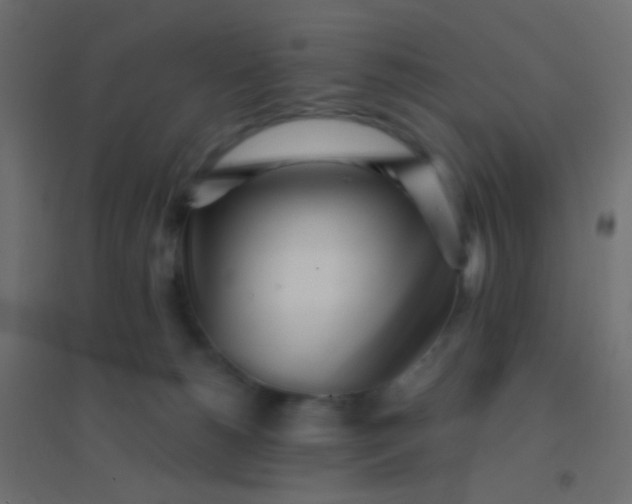 X0000094920180200712131523