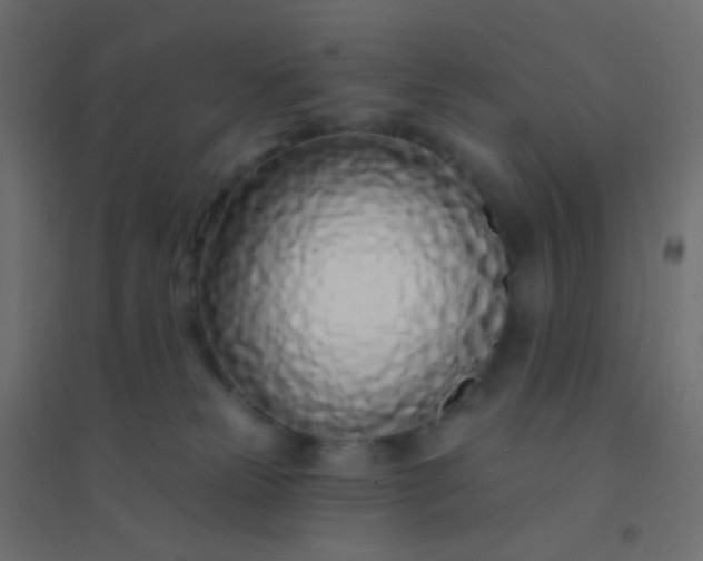 X0000094920181200712131523